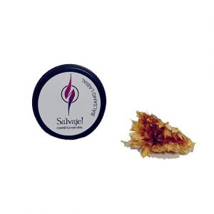 MORRICOS. Bálsamo labial reparador