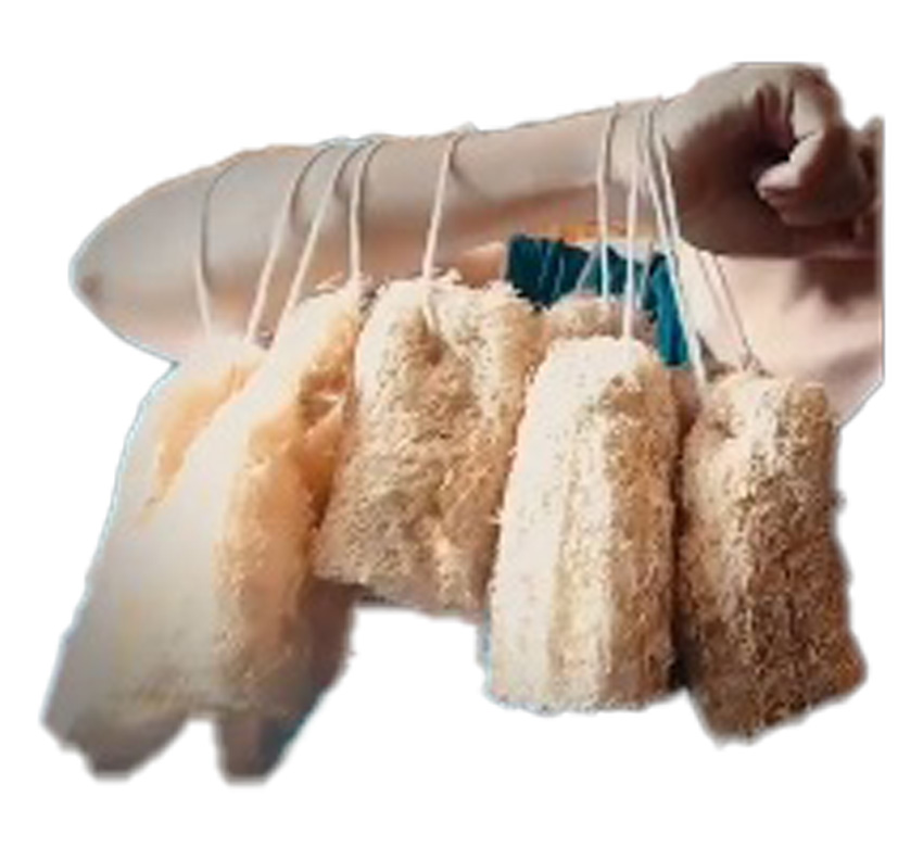 Esponja vegetal (LUFFA)